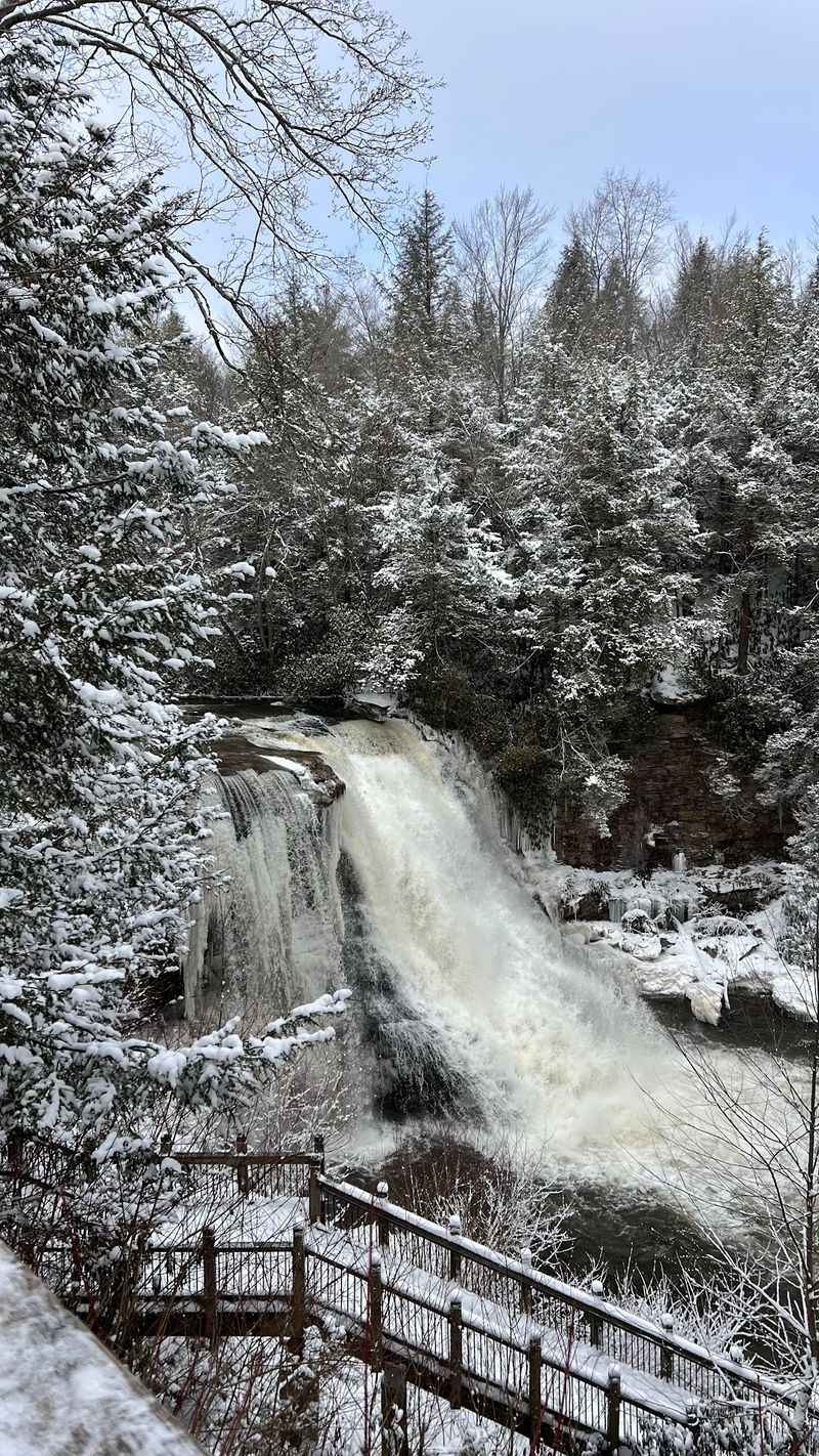 A Winter Version That Steals The Show A Winter Version That Steals The Show