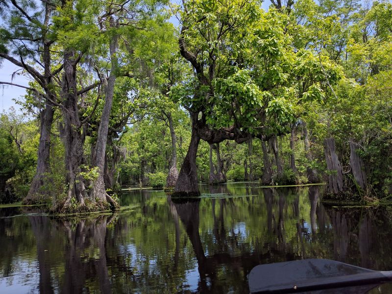 A Wonderland Of Wildlife