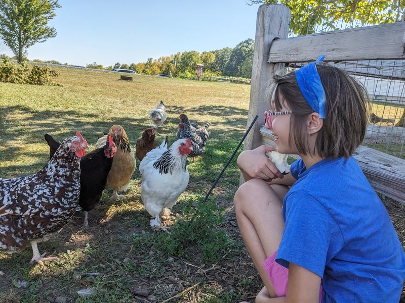 A Working Farm Straight Out of the 1920s