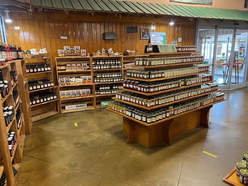 A Working Peach Farm With a Store and Cafe Rolled Into One A Working Peach Farm With a Store and Cafe Rolled Into One