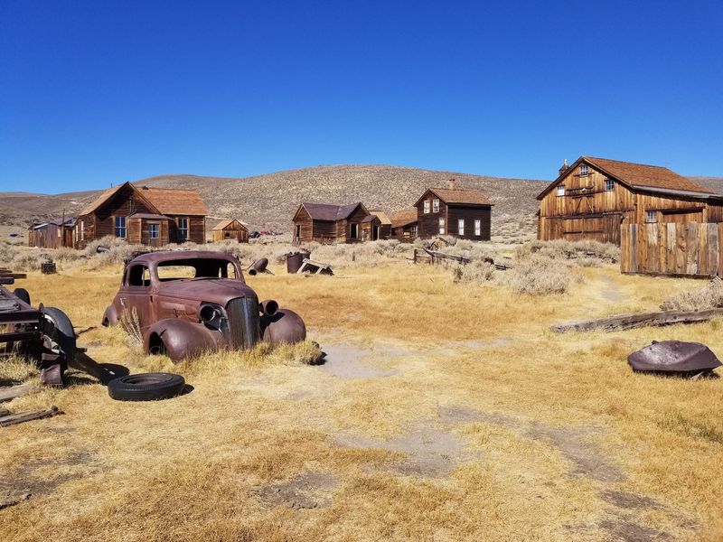 Abandoned Trucks And Field Finds