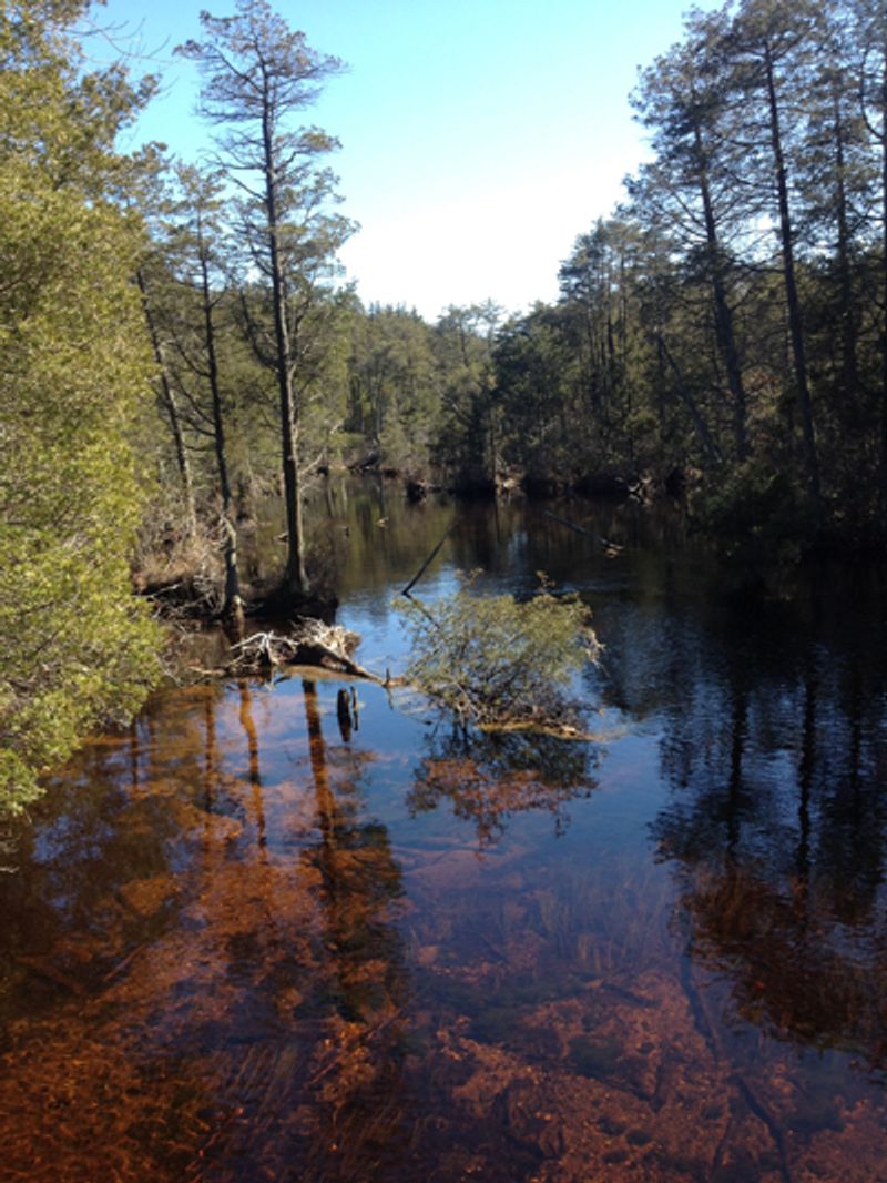 Access to Nature and the Pine Barrens