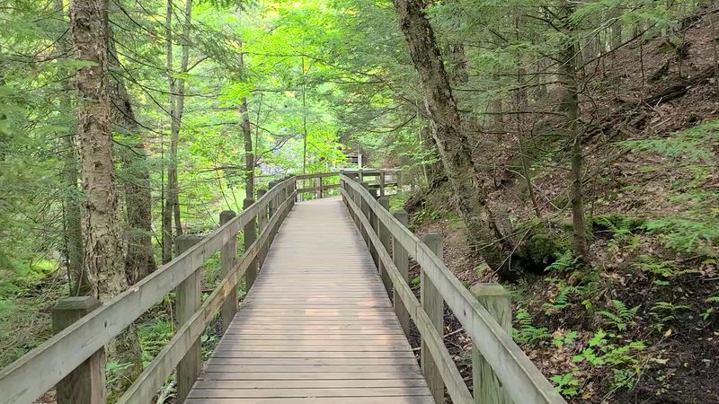 Accessibility That Makes Everyone Feel Welcome Accessibility That Makes Everyone Feel Welcome