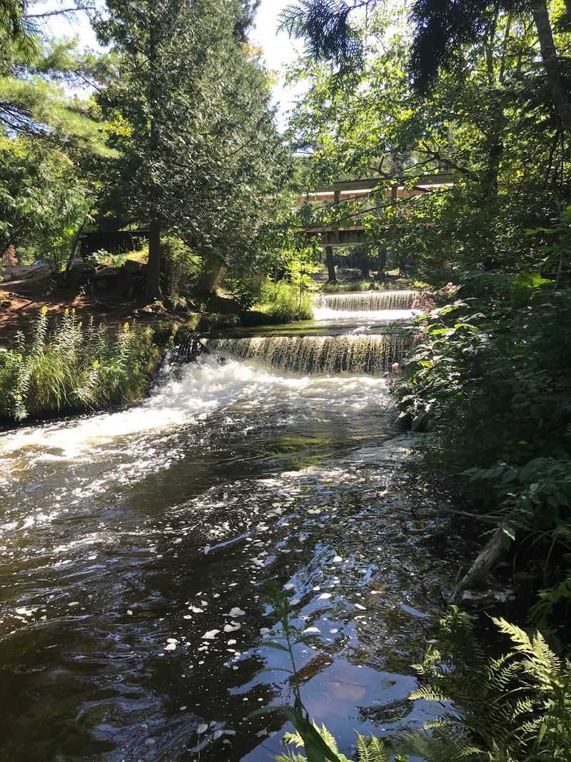 Accessible Paths For Every Visitor