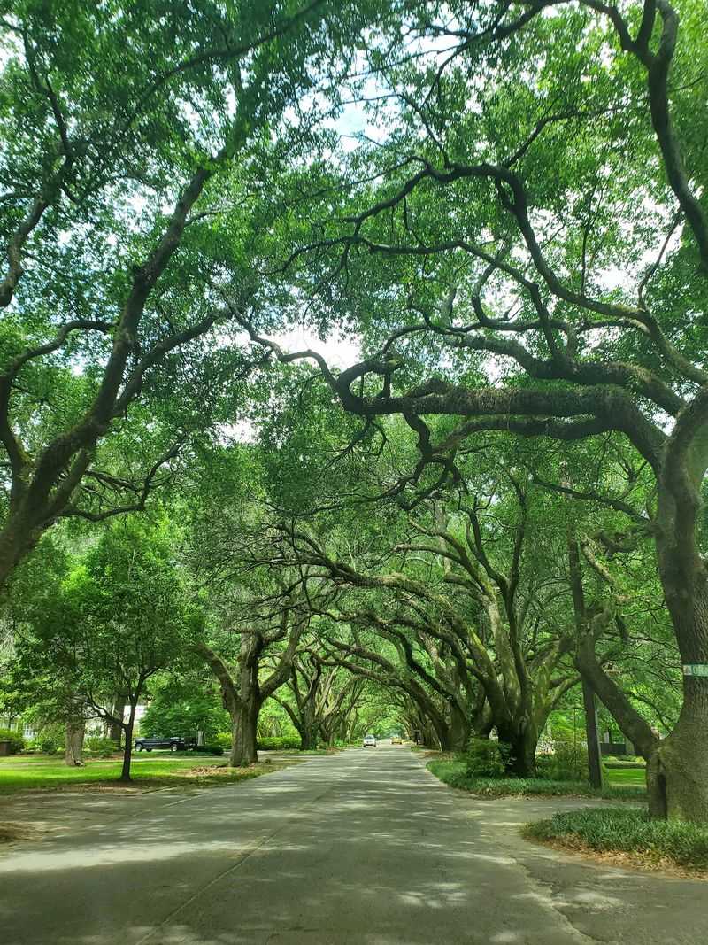Aiken