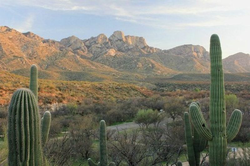 Alamo Canyon And Its Rugged Reward Alamo Canyon And Its Rugged Reward