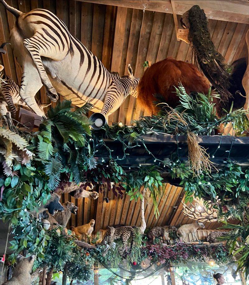 An Atmosphere Built For Curious Guests