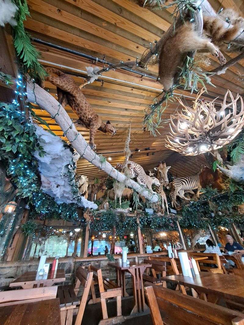 An Atmosphere Built for Families and Curious Guests An Atmosphere Built for Families and Curious Guests