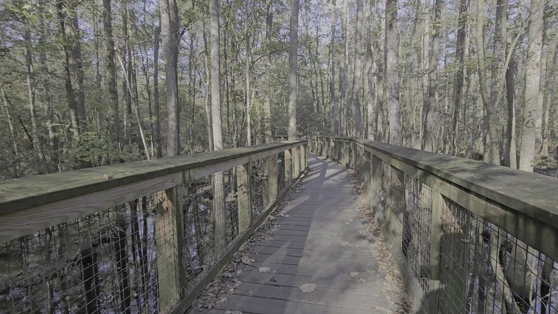 An Easy, Flat Path For Every Skill Level