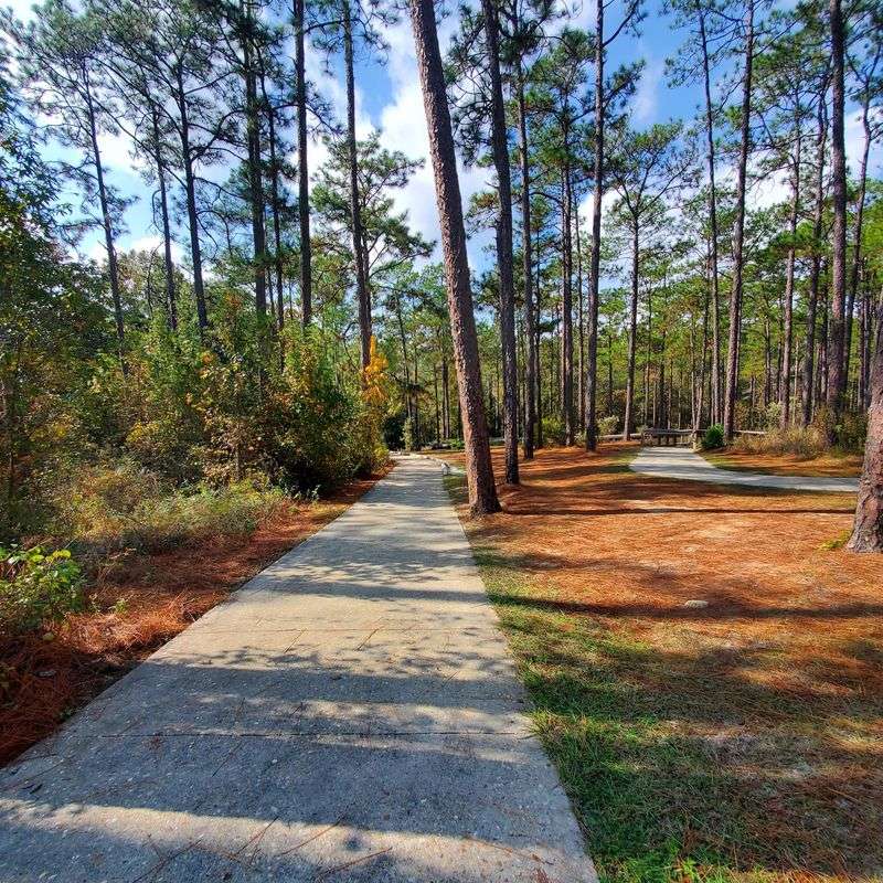 An Easy Paved Walk Almost Anyone Can Enjoy An Easy Paved Walk Almost Anyone Can Enjoy
