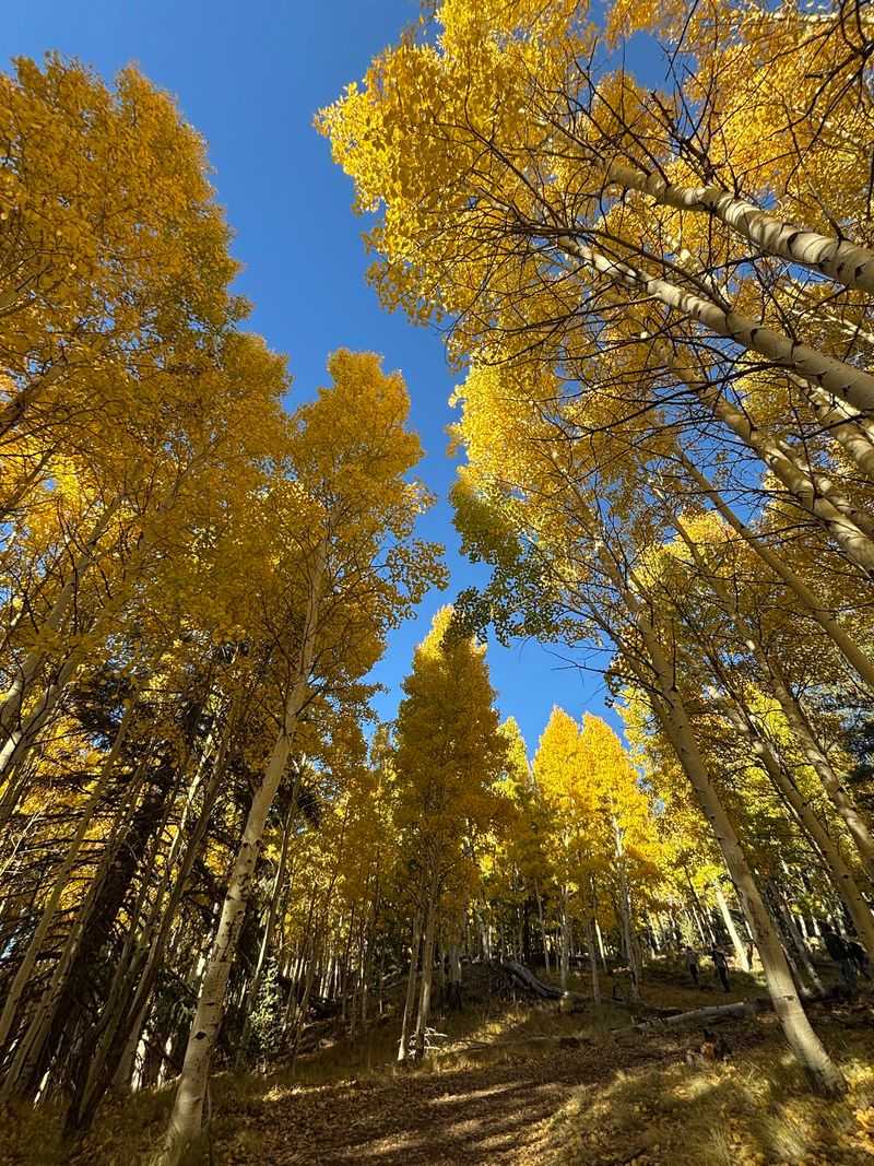 An Easy Two-Mile Loop Almost Anyone Can Walk