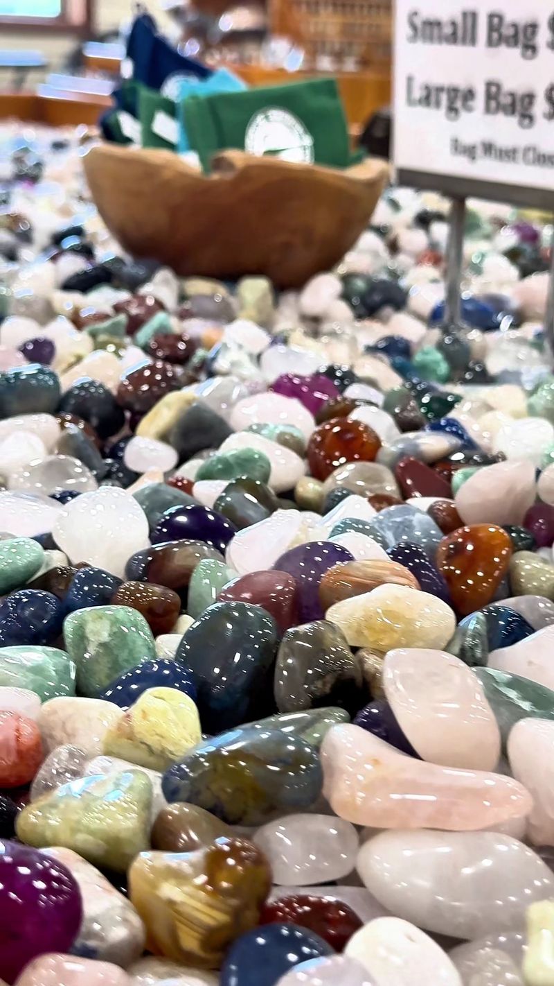 An Impressive Gift Shop Stocked With Crystals and Fossils