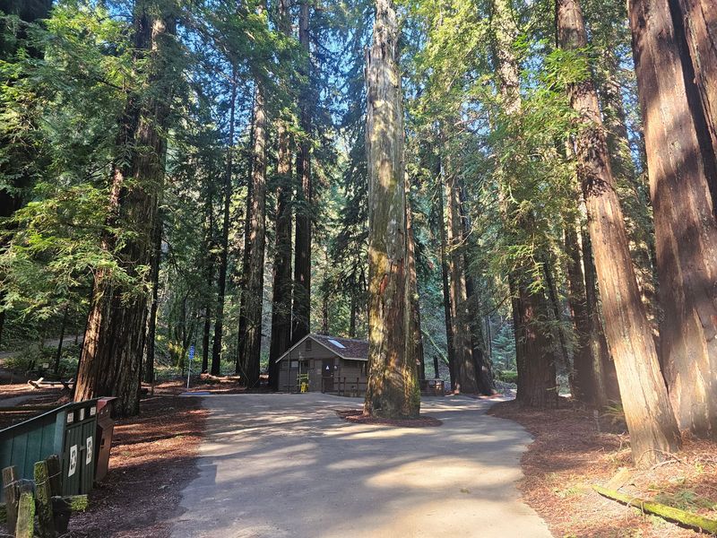 An Outdoor Amphitheater Hidden Inside the Forest