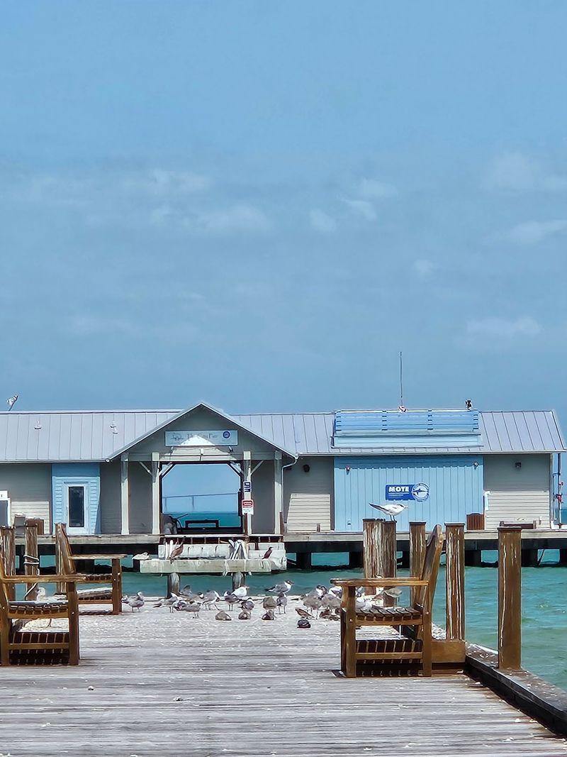 Anna Maria City Pier, Anna Maria, Florida