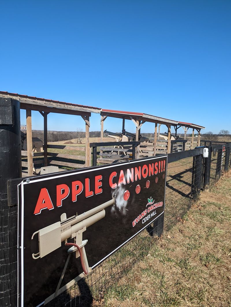 Apple Cannons And Offbeat Fun Apple Cannons And Offbeat Fun