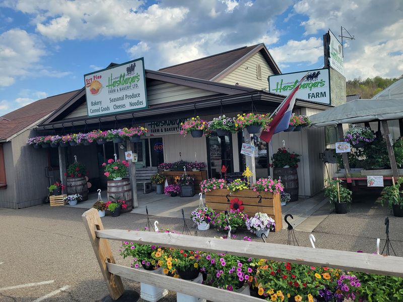 Apple Cider Slushies and Ice Cream Worth Stopping For