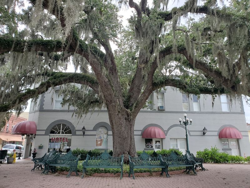 Arcadia - Florida