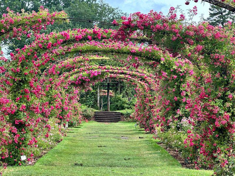 Arches That Steal the Spotlight