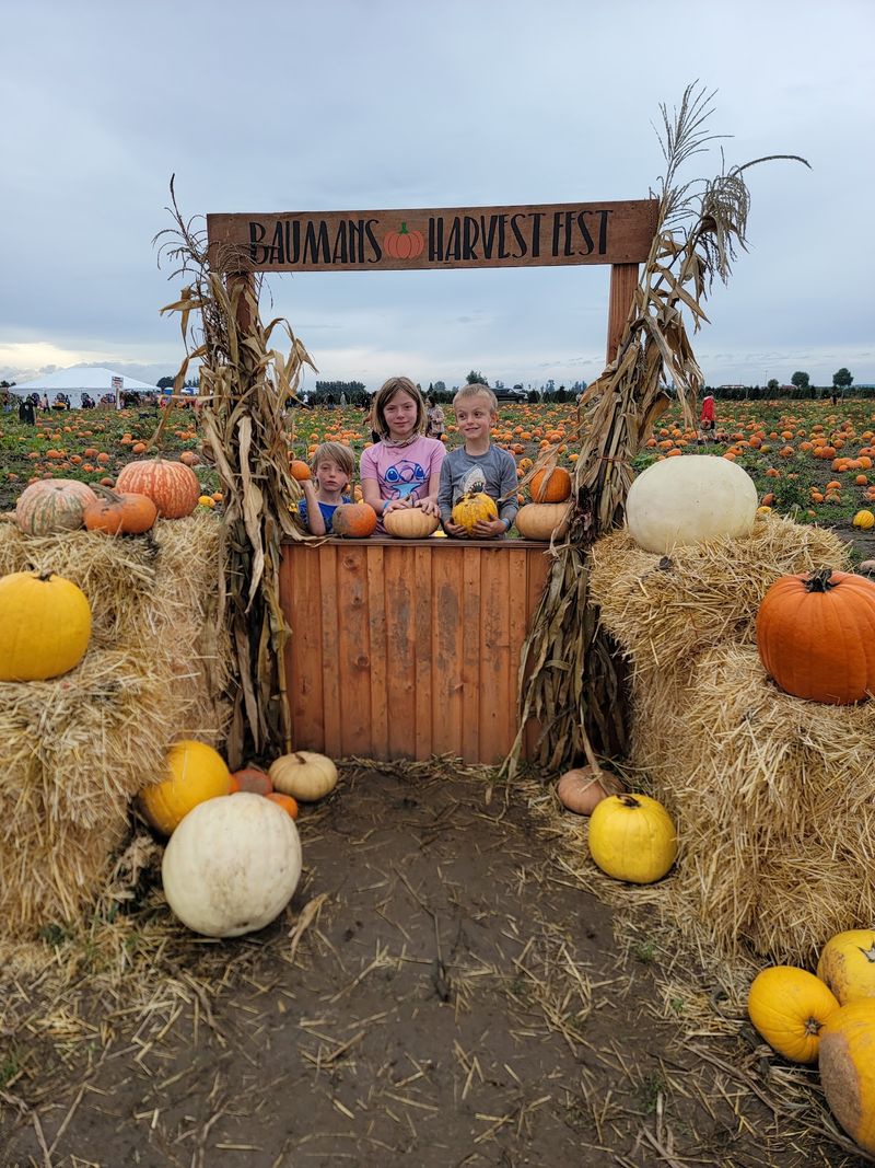 Autumn At The Pumpkin Patch