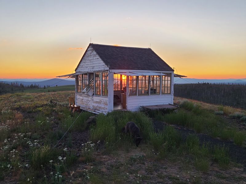 Bald Butte Lookout, Fossil