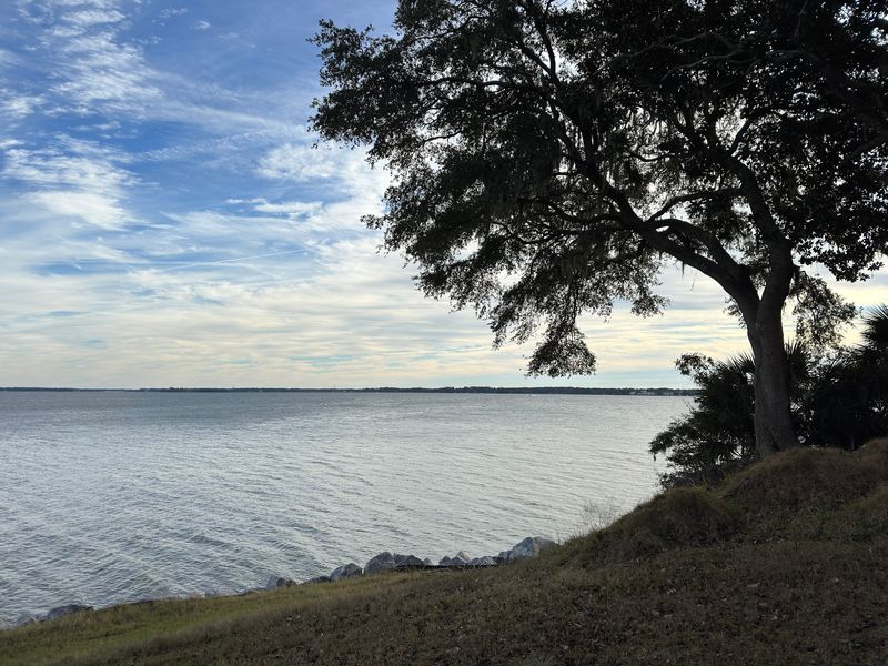 Bald Eagles And Island Wildlife