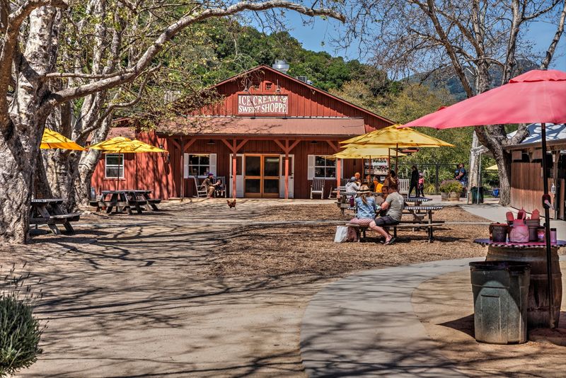 Barbecue and Bites From the Food Stands