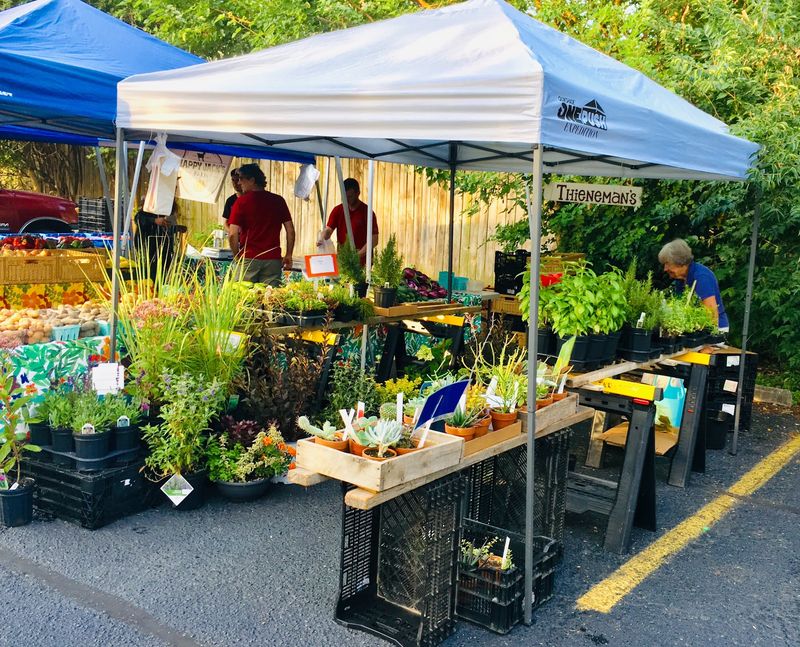 Bardstown Road Farmers Market, Louisville, Kentucky