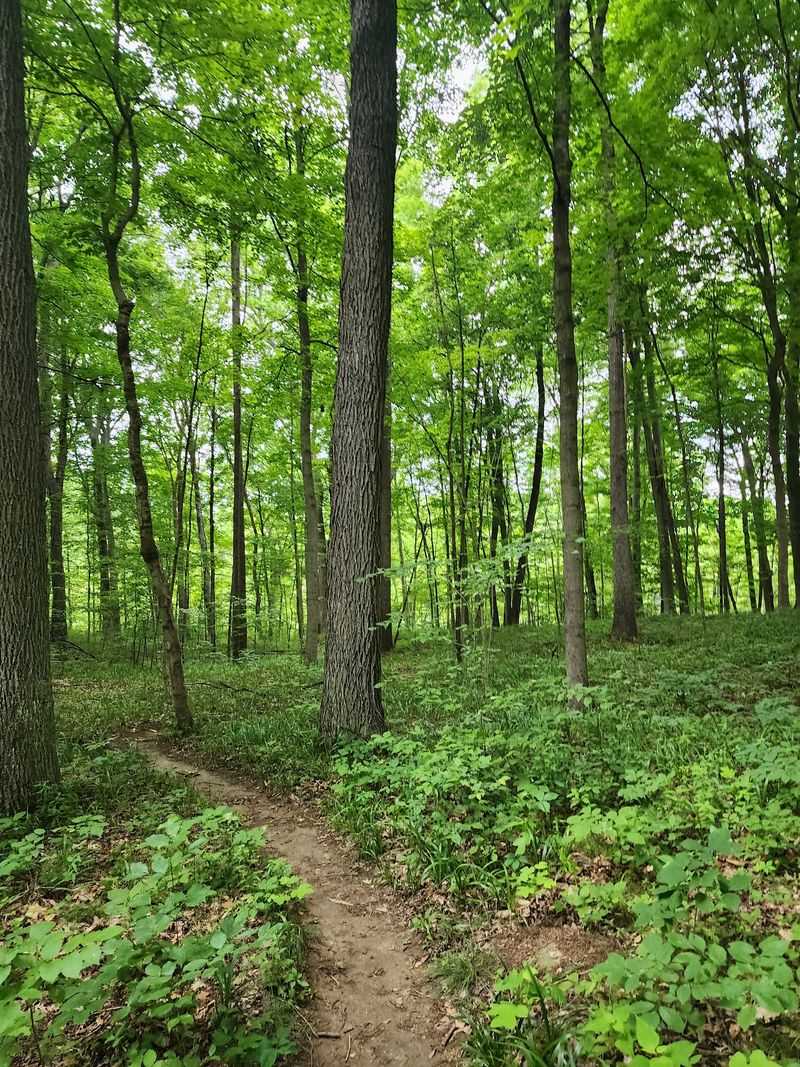 Barrier Ridge Trail - For Those Who Love a Challenge