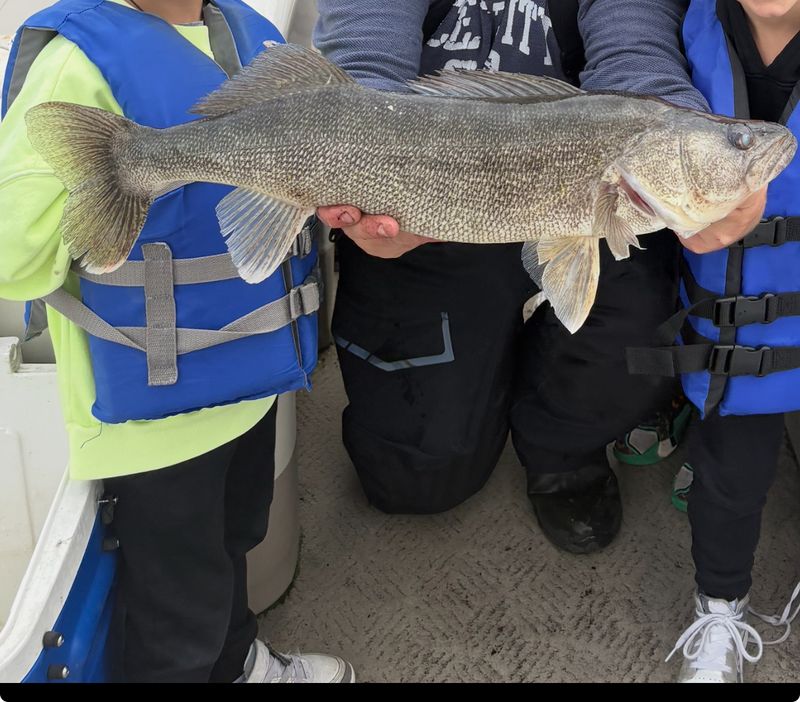Bass and Pickerel Fishing on Lake Hopatcong