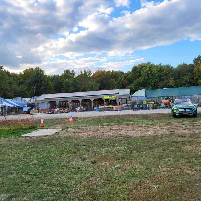 Battaglia's Home Grown Produce, Fairfield Township, NJ