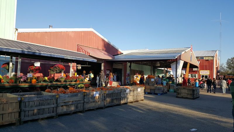 Baugher's Farm Market, Westminster, MD
