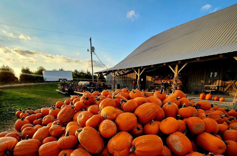 Beasley's Orchard, Danville