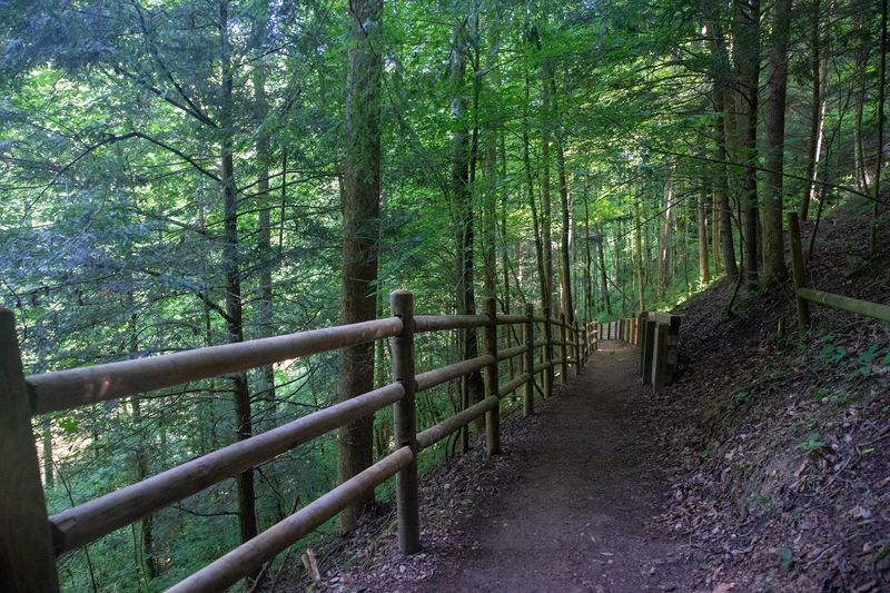 Beating the Crowds and Picking Your Day