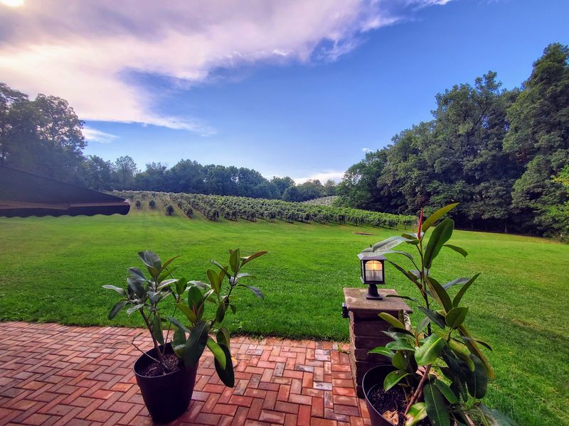 Beautiful Grounds Made For Wandering