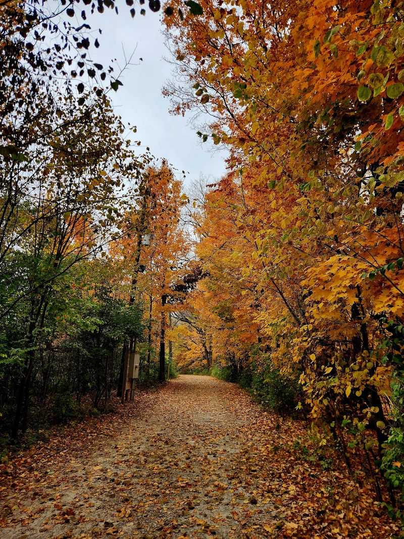 Beautiful in Every Season, But Fall Is Unforgettable