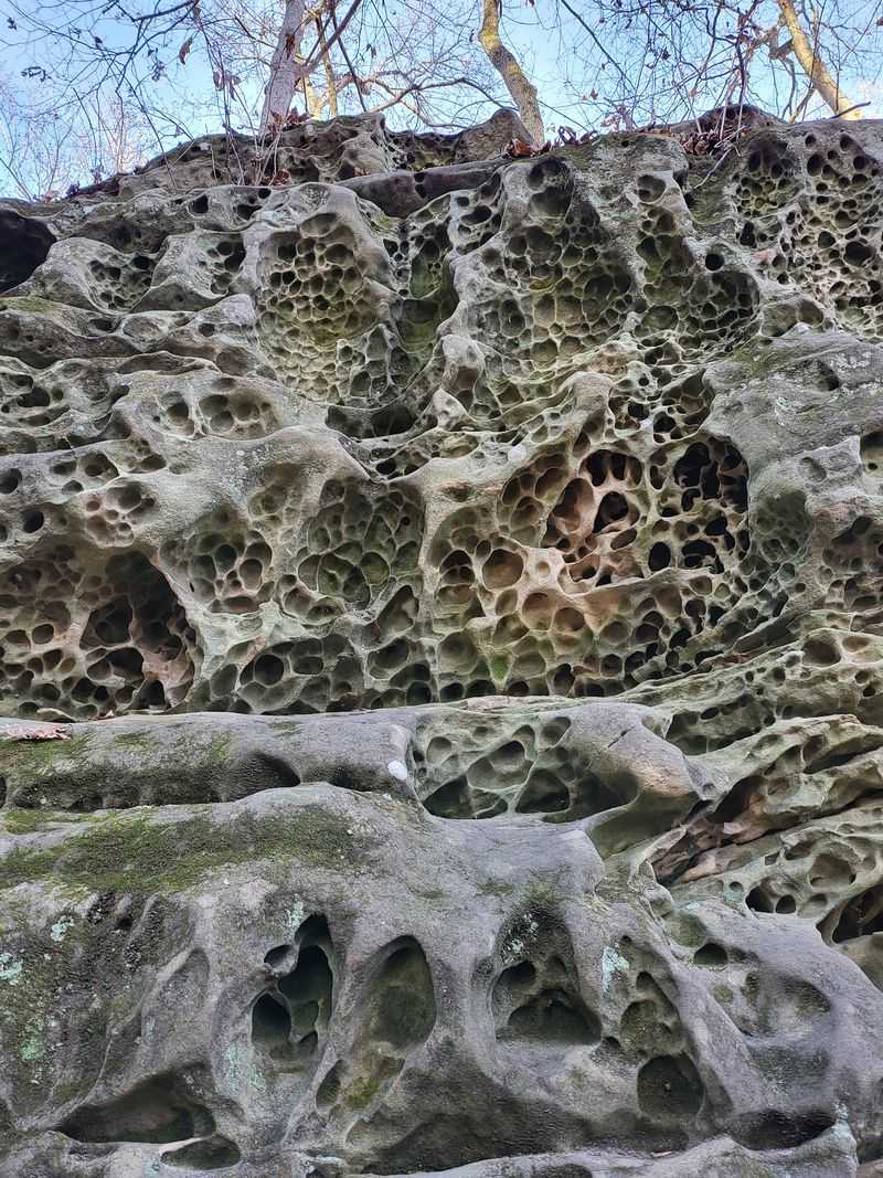 Beginner-Friendly Rock Climbing