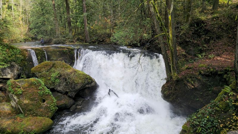 Bellingham