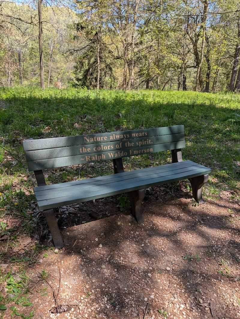 Benches Placed Perfectly for Resting and Reflecting Benches Placed Perfectly for Resting and Reflecting