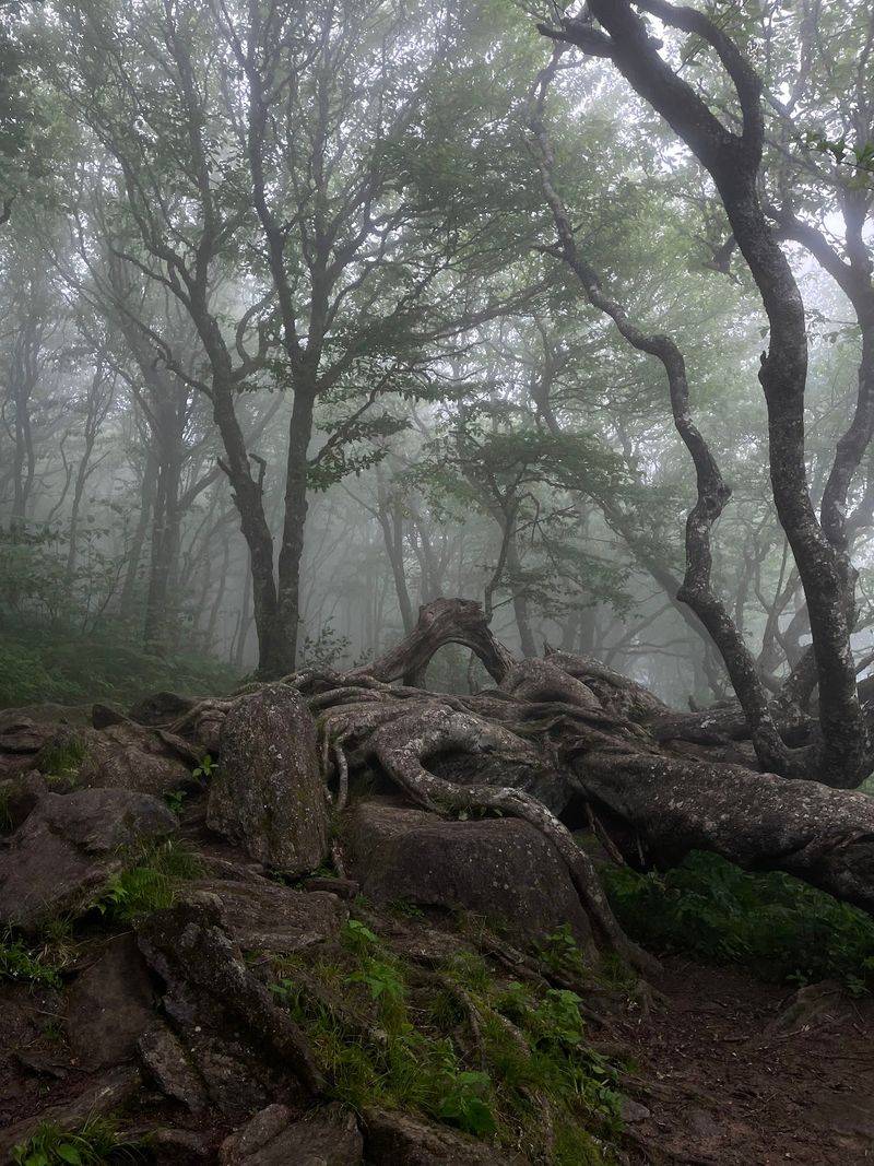 Best Seasons and Weather Surprises Best Seasons and Weather Surprises