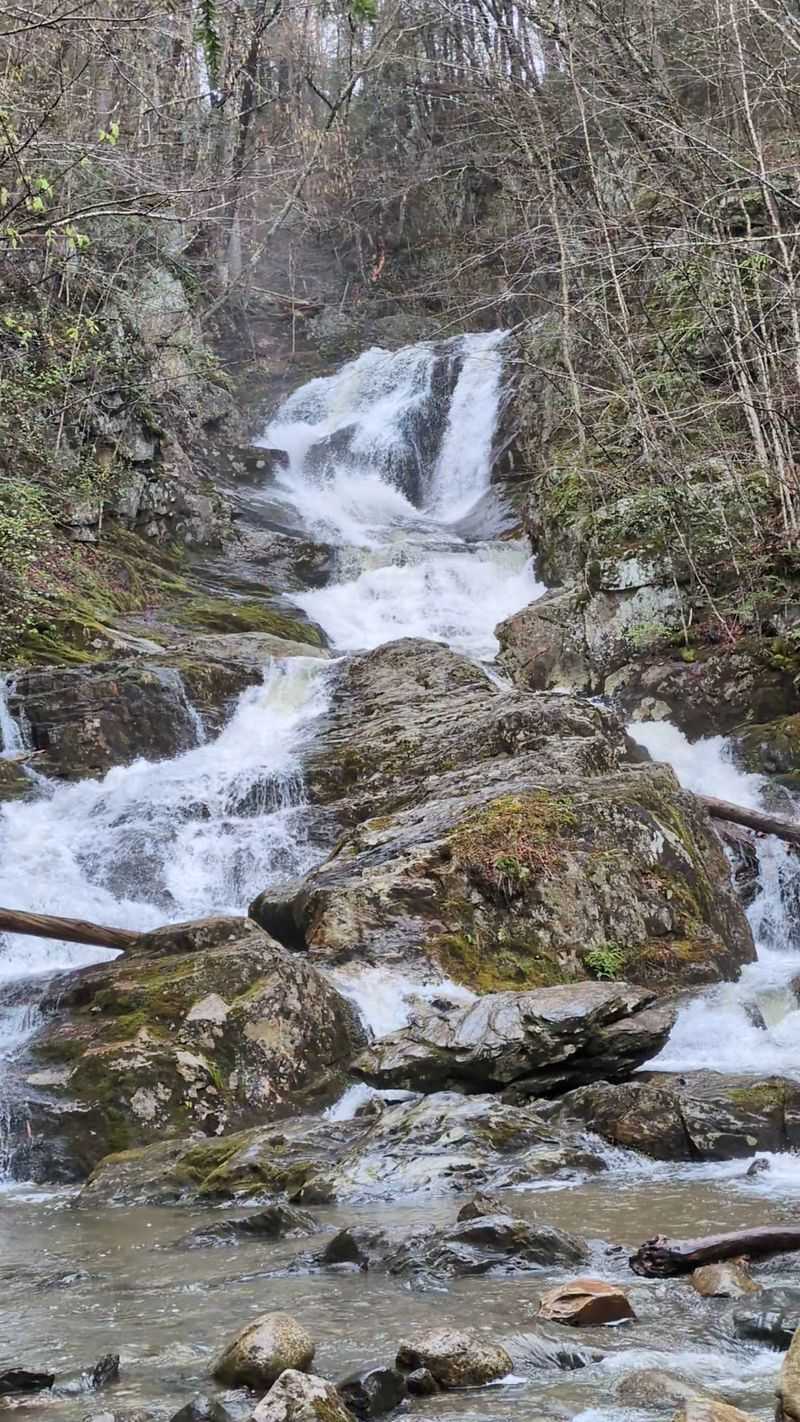 Best Time to Visit for Maximum Waterfall Drama