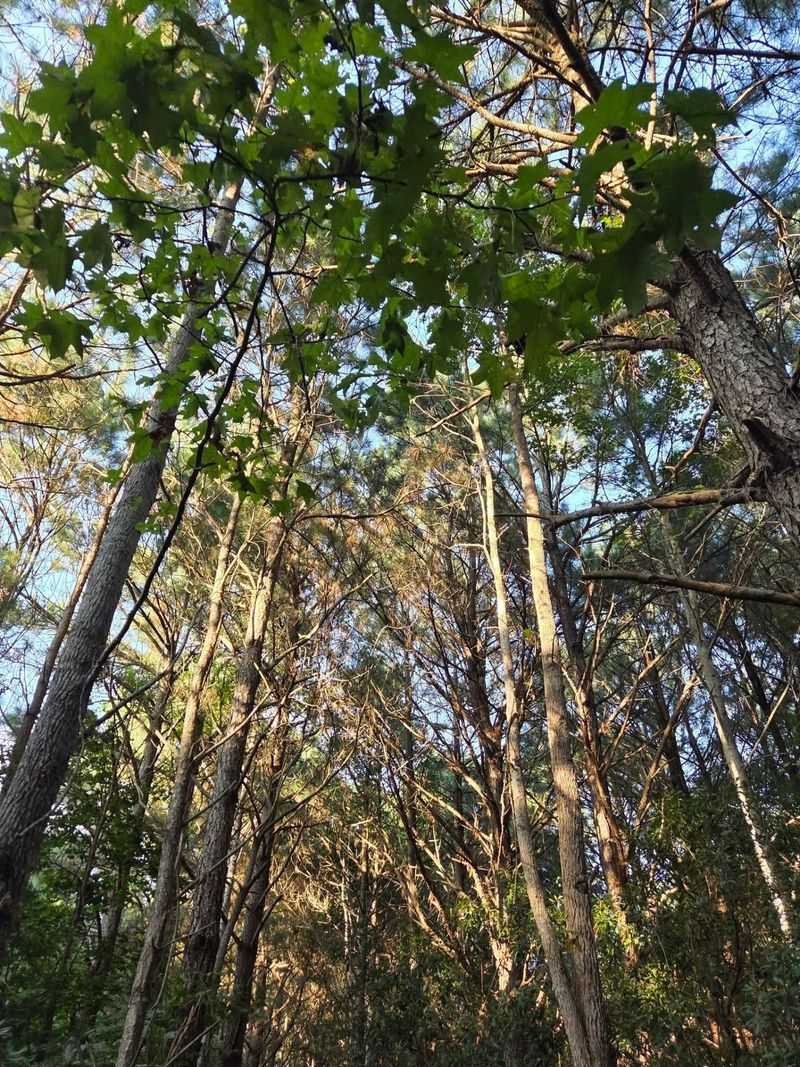 Best Times of Year to Visit the Trail