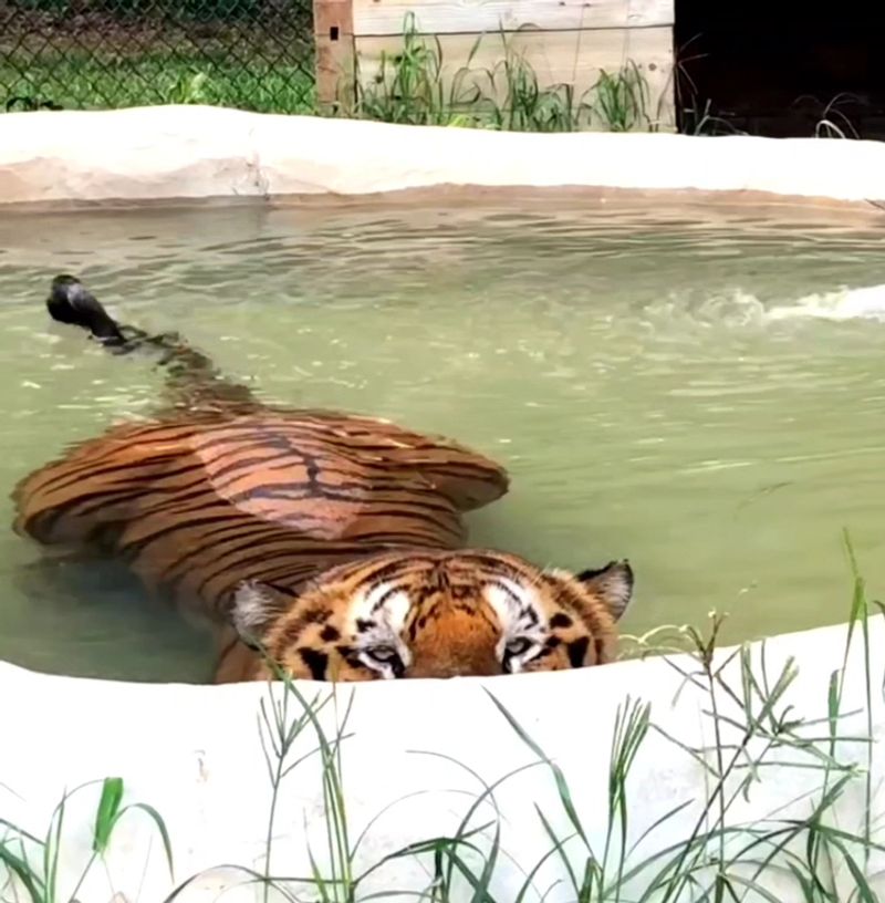 Better Than the Zoo, Right Here in Alabama