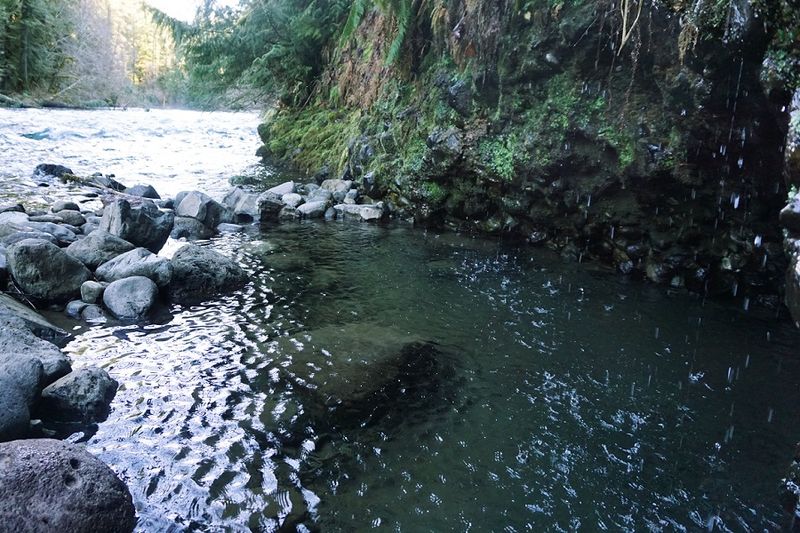 Bigelow Hot Springs, McKenzie River area