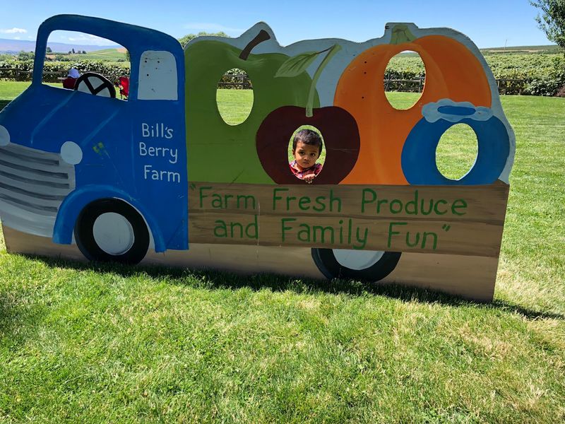 Bill's Berry Farm, Grandview, Washington