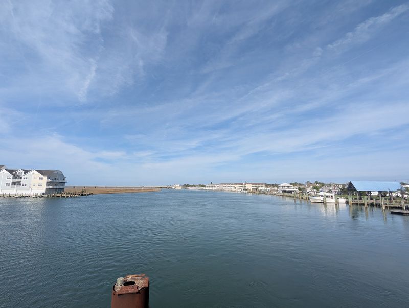 Birds, Fish, and Little Bay Surprises
