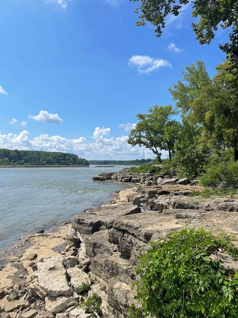 Birdwatching Along the Ohio River Shoreline