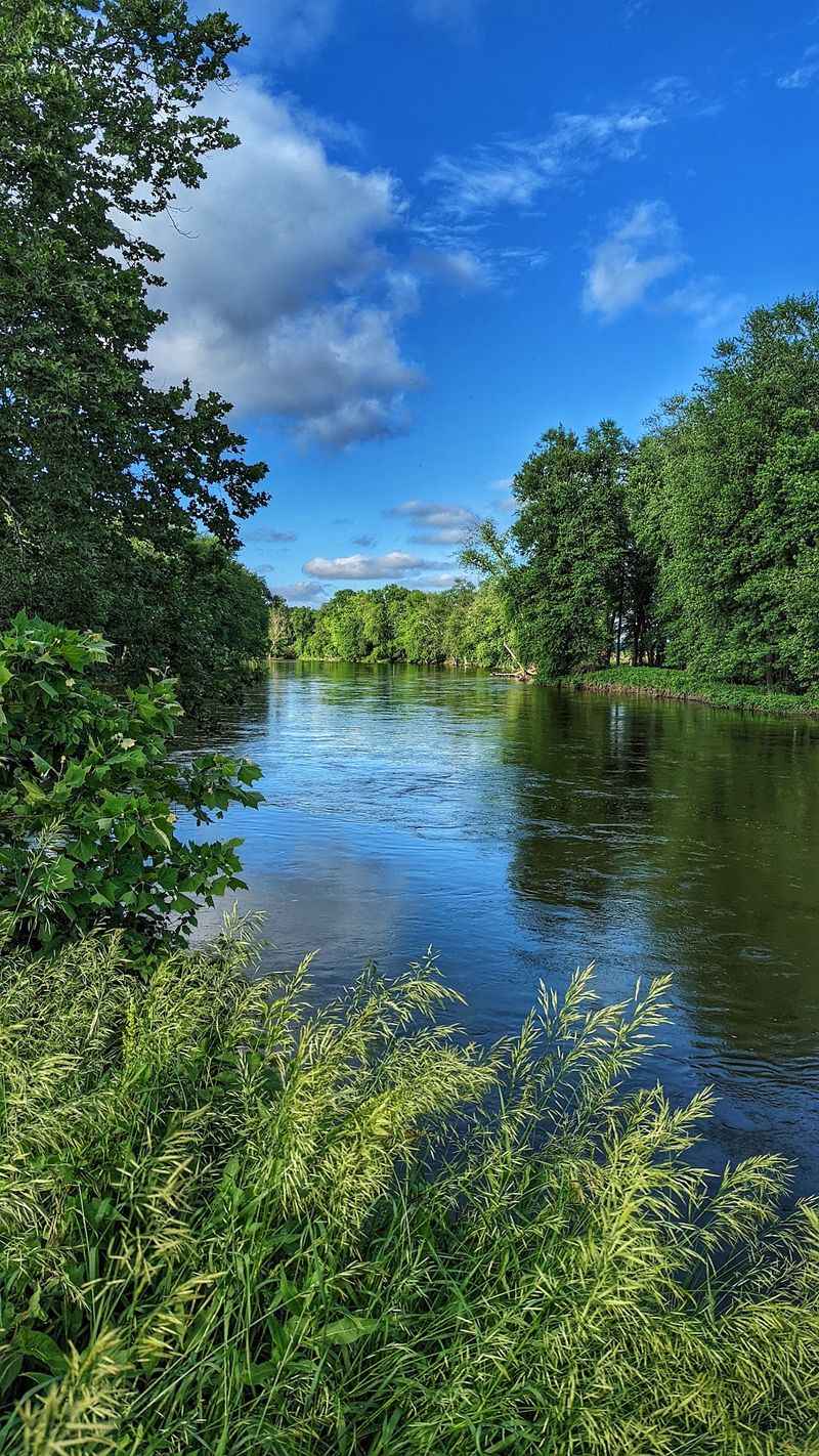 Birdwatching Opportunities That Delight Nature Lovers