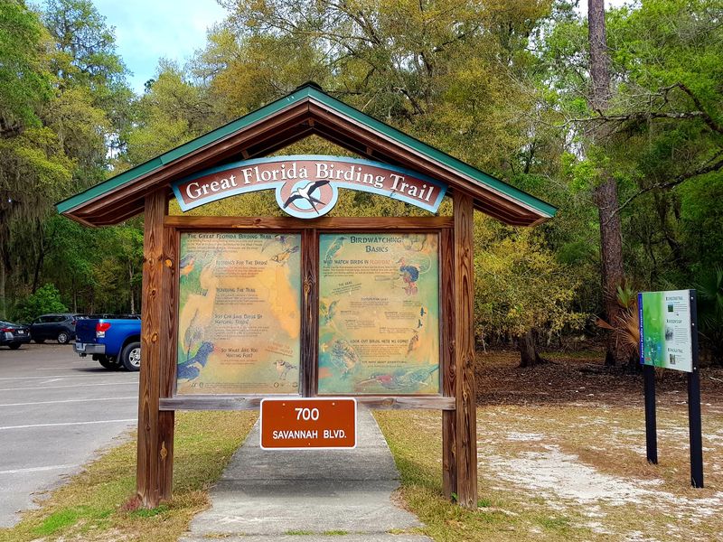 Birdwatching Paradise at Paynes Prairie