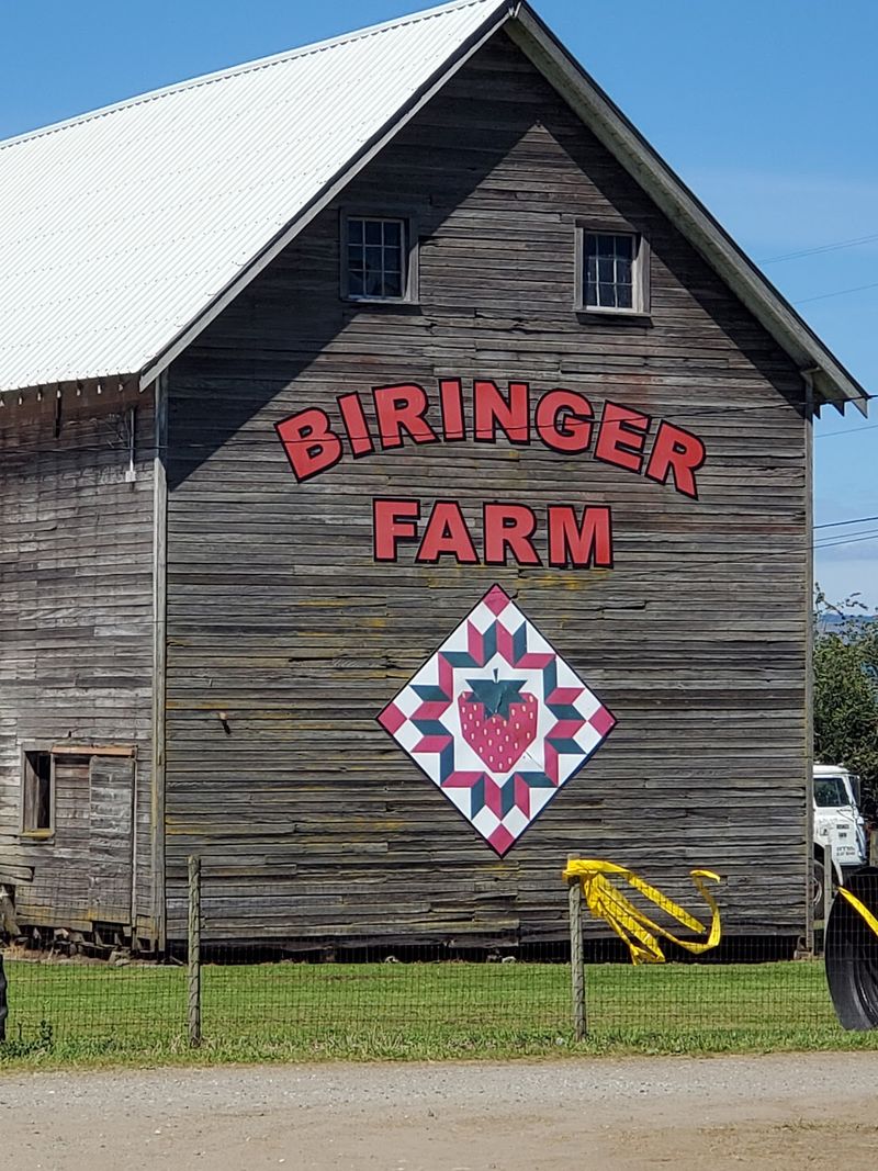 Biringer Farm, Arlington, Washington