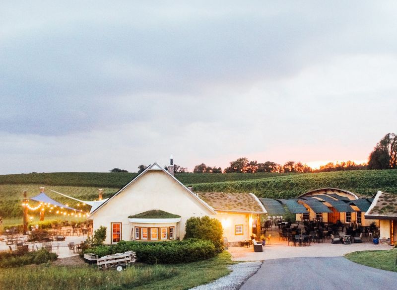 Black Ankle Vineyards, Mount Airy, MD